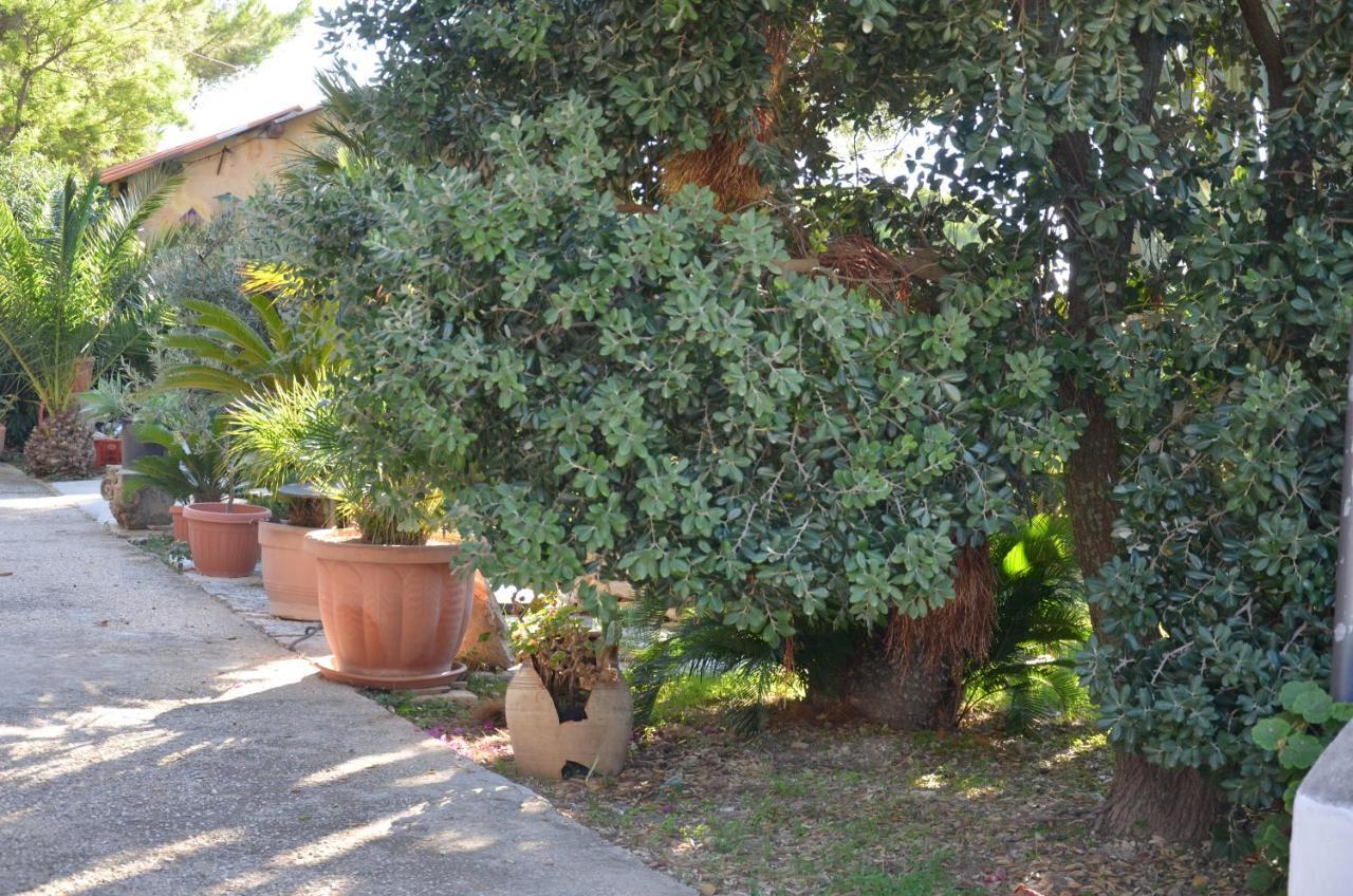Il Paradiso Di Giacomo Erice Εξωτερικό φωτογραφία